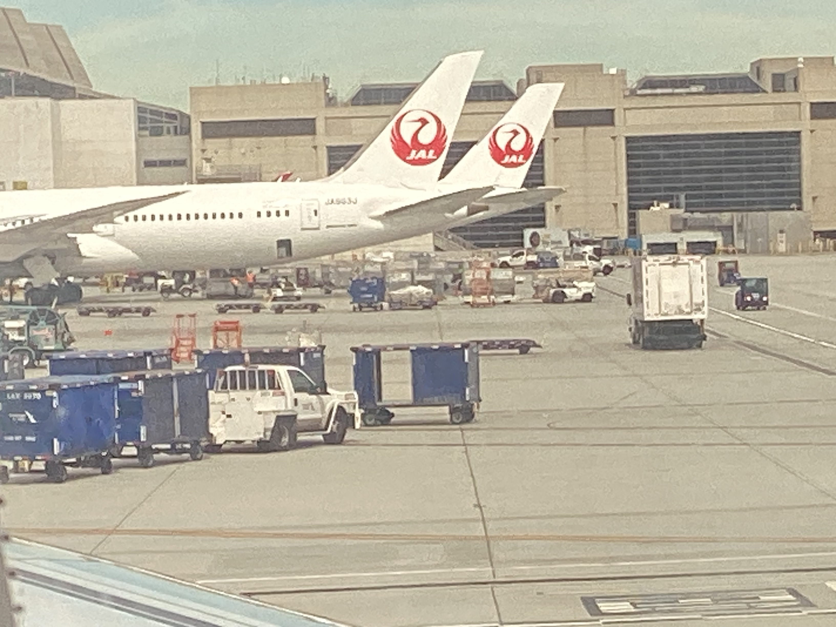 JAL787